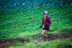 BIB: 
                            <button type="button" onclick="openModal(19160103)" class="btn btn-primary btn-sm float-right btn-popup" data-toggle="modal" data-target=".modal-high-quality">
                        <i class="fas fa-shopping-cart"></i> Add to Cart
                    </button>
                                            <button type="button" onclick="isThisMe(19160103, true)" class="btn btn-success btn-sm float-right btn-popup btn-isme hidden" data-toggle="tooltip" data-placement="bottom" title="นี่คือรูปของคุณใช่ไหม คลิกที่นี่เพื่อเอาเข้าอัลบั้ม">
                        <i class="fas fa-plus"></i> Add to album
                    </button>
                    <button type="button" onclick="isThisMe(19160103, false)" class="btn btn-warning btn-sm float-right btn-popup btn-isnotme hidden">
                        <i class="fas fa-ban"></i> Remove from album
                    </button>